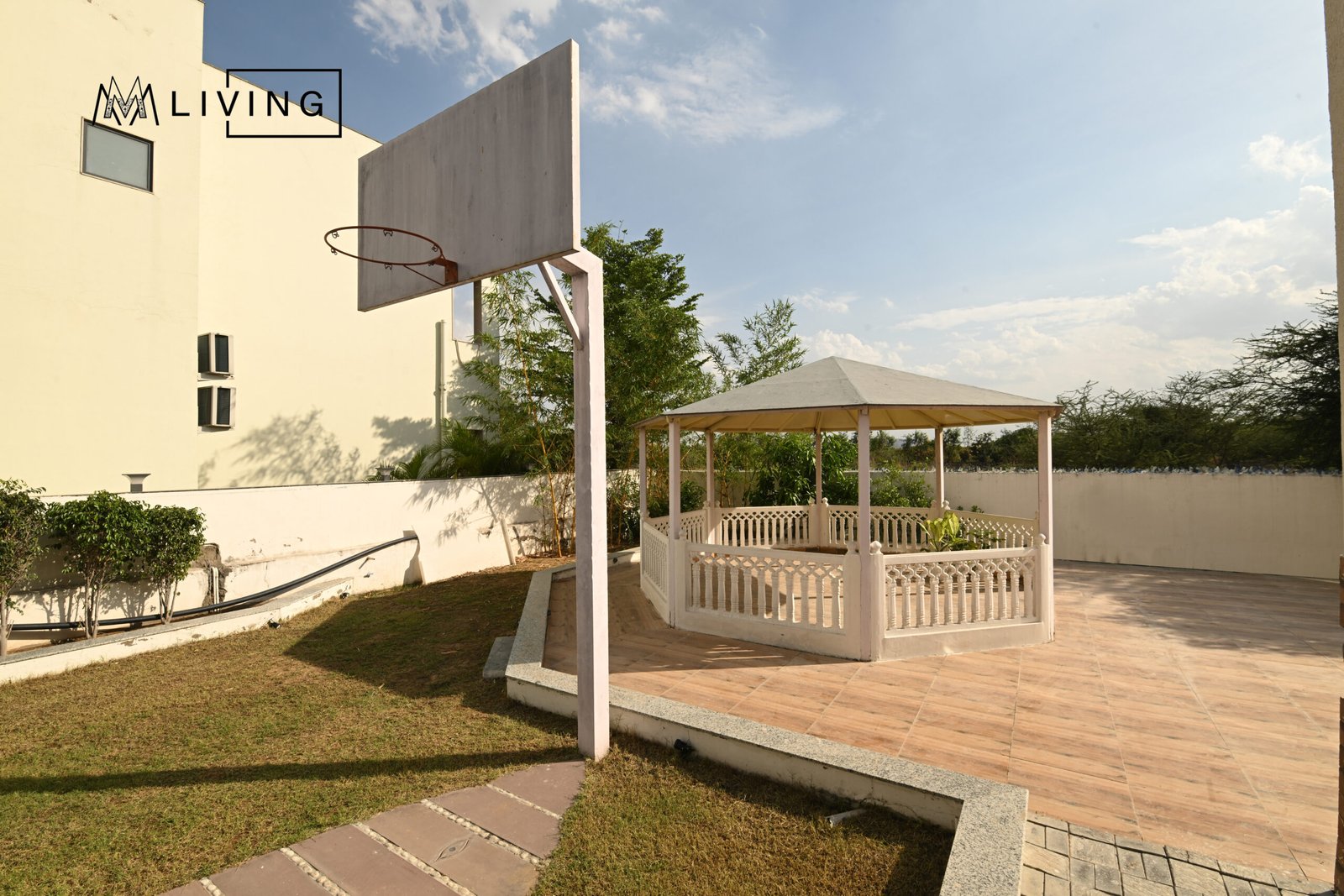 Basket Ball